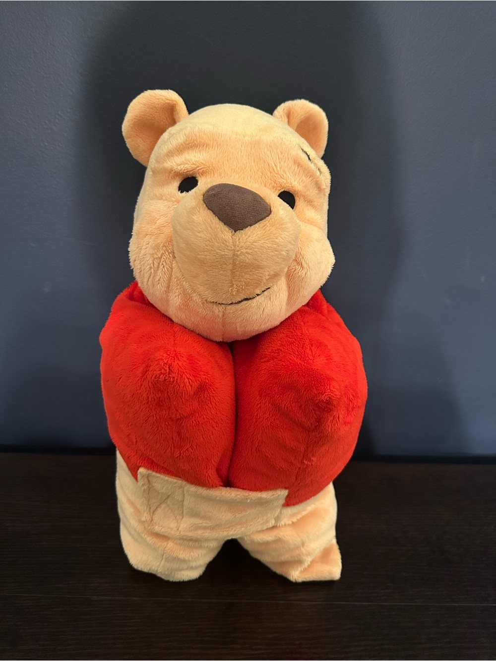 Winnie the Pooh Stuffed Animal / Pillow